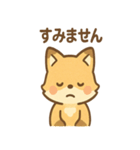 元気いっぱいキツネあいさつスタンプ（個別スタンプ：25）