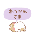 柴犬の毎日使えるでか文字（個別スタンプ：8）