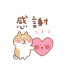 柴犬の毎日使えるでか文字（個別スタンプ：11）