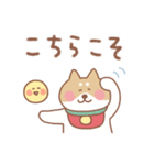 柴犬の毎日使えるでか文字（個別スタンプ：12）
