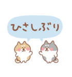柴犬の毎日使えるでか文字（個別スタンプ：17）