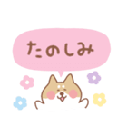 柴犬の毎日使えるでか文字（個別スタンプ：18）