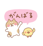 柴犬の毎日使えるでか文字（個別スタンプ：25）