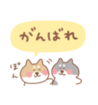 柴犬の毎日使えるでか文字（個別スタンプ：26）