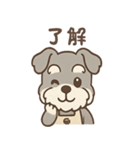 ふんわりカフェシュナ 甘えんぼスタンプ（個別スタンプ：3）