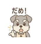 ふんわりカフェシュナ 甘えんぼスタンプ（個別スタンプ：8）