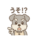 ふんわりカフェシュナ 甘えんぼスタンプ（個別スタンプ：10）