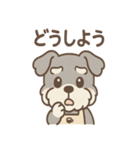 ふんわりカフェシュナ 甘えんぼスタンプ（個別スタンプ：12）