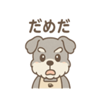ふんわりカフェシュナ 甘えんぼスタンプ（個別スタンプ：13）