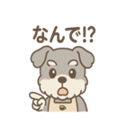 ふんわりカフェシュナ 甘えんぼスタンプ（個別スタンプ：15）
