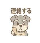 ふんわりカフェシュナ 甘えんぼスタンプ（個別スタンプ：16）