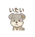 ふんわりカフェシュナ 甘えんぼスタンプ（個別スタンプ：21）