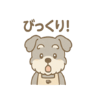 ふんわりカフェシュナ 甘えんぼスタンプ（個別スタンプ：24）
