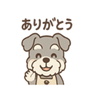 ふんわりカフェシュナ 甘えんぼスタンプ（個別スタンプ：38）