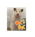 おもちちゃん ②（個別スタンプ：2）