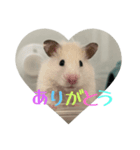 おもちちゃん ②（個別スタンプ：8）