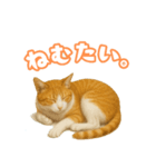 猫ちゃんスタンプ（茶トラ白）（個別スタンプ：3）