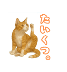猫ちゃんスタンプ（茶トラ白）（個別スタンプ：14）