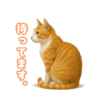 猫ちゃんスタンプ（茶トラ白）（個別スタンプ：15）
