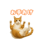 猫ちゃんスタンプ（茶トラ白）（個別スタンプ：16）