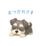 ミニチュアシュナウザー【日本語】（個別スタンプ：6）
