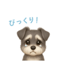 ミニチュアシュナウザー【日本語】（個別スタンプ：12）