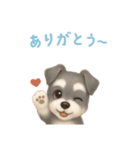 ミニチュアシュナウザー【日本語】（個別スタンプ：15）