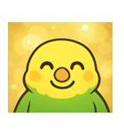 キラキラおしゃべりインコ@SFW（個別スタンプ：1）