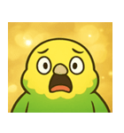 キラキラおしゃべりインコ@SFW（個別スタンプ：2）