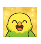 キラキラおしゃべりインコ@SFW（個別スタンプ：4）