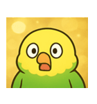 キラキラおしゃべりインコ@SFW（個別スタンプ：10）