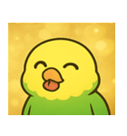 キラキラおしゃべりインコ@SFW（個別スタンプ：11）