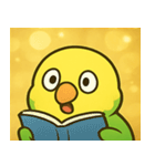 キラキラおしゃべりインコ@SFW（個別スタンプ：12）