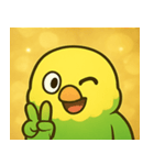 キラキラおしゃべりインコ@SFW（個別スタンプ：13）