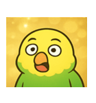 キラキラおしゃべりインコ@SFW（個別スタンプ：14）