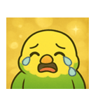 キラキラおしゃべりインコ@SFW（個別スタンプ：17）