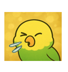 キラキラおしゃべりインコ@SFW（個別スタンプ：25）