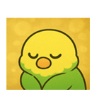 キラキラおしゃべりインコ@SFW（個別スタンプ：26）