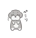 ふわシュナ 日常 ソルペ（個別スタンプ：13）
