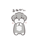ふわシュナ 日常 ソルペ（個別スタンプ：14）