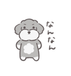 ふわシュナ 日常 ソルペ（個別スタンプ：21）