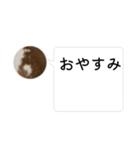 ドッキリ専用です。うさぎのフッくん（個別スタンプ：2）