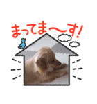 マクベル2025サマーⅢ（個別スタンプ：1）