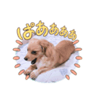 マクベル2025サマーⅢ（個別スタンプ：7）