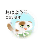 色々な猫1-4 長毛-垂れ耳-白に茶ぶち（個別スタンプ：1）