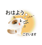 色々な猫1-4 長毛-垂れ耳-白に茶ぶち（個別スタンプ：2）