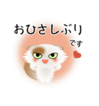 色々な猫1-4 長毛-垂れ耳-白に茶ぶち（個別スタンプ：3）