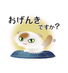 色々な猫1-4 長毛-垂れ耳-白に茶ぶち（個別スタンプ：4）
