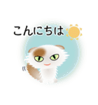 色々な猫1-4 長毛-垂れ耳-白に茶ぶち（個別スタンプ：5）