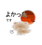 色々な猫1-4 長毛-垂れ耳-白に茶ぶち（個別スタンプ：11）
